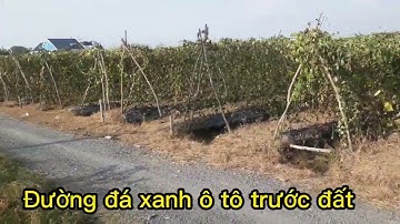 Đất thổ cư xã Phước Lợi, Bến Lức 7m1x42m giá 2ty4 ctl