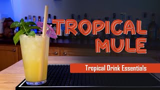 Tropical Mule | Tropical Drink Essentials