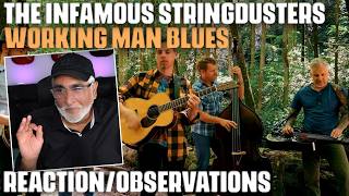 Working Man Blues By The Infamous Stringdusters, Reactionobservations By Musicianproducer