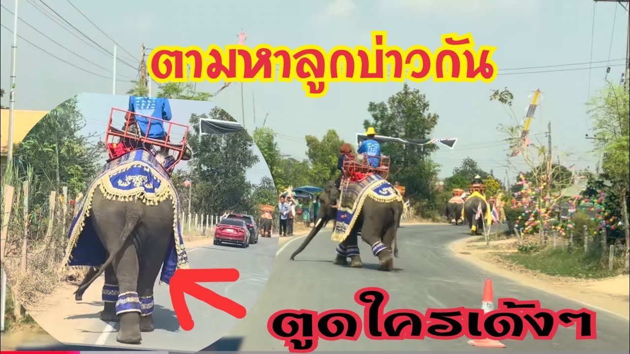 บ่าวไหนตูดเด้งๆ💢อยู่ไหนกันน้องานนี้