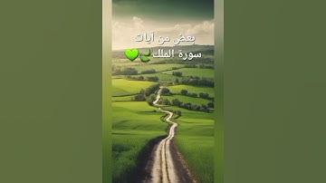 يعض آيات من المنجية من عذاب القبر(سورة الملك)