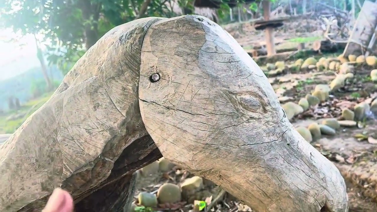 Thaj chaw ncig ua si