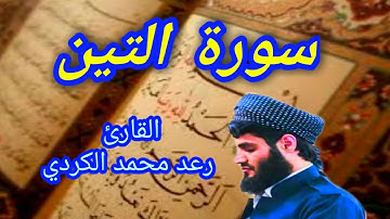 سورة التين - القارئ رعد محمد الكردي