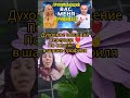 Ваше майбутнє запрограмоване. #україна #рек #@SaltanenkoUA #youtube #shorts #