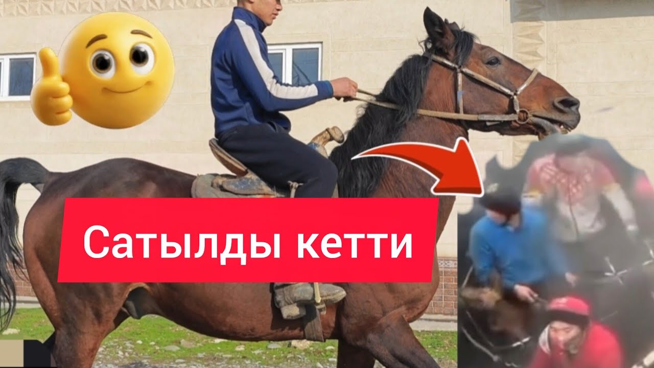 Сатылды кетти талаш болуп кетти