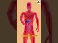 The ONE Molecule Your Body Uses to Fight Aging, Toxins & Disease