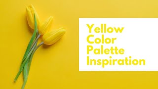 Yellow Color Palette Inspiration - Yellow Aesthetic Short - Yellow Color Scheme