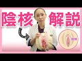 【女性器解説】包皮・陰核の構造について解説！デリケートゾーンの構造