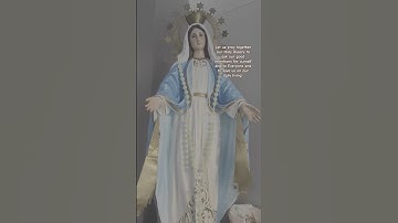 IMMACULATE CONCEPTION OF THE BLESSED VIRGIN MARY #immaculateconception #marianconsecration