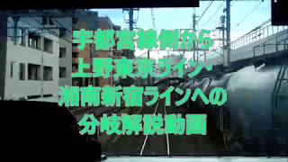 【分岐解説動画】宇都宮線から上野東京ライン・湘南新宿ラインへの分岐