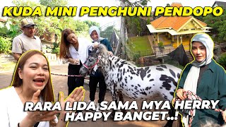 #115 PENDOPO | INI DIA HEWAN BARU PENGHUNI PENDOPO..!! RARA SAMA MYA HERRY SAMPE GAMAU PULANG..!!