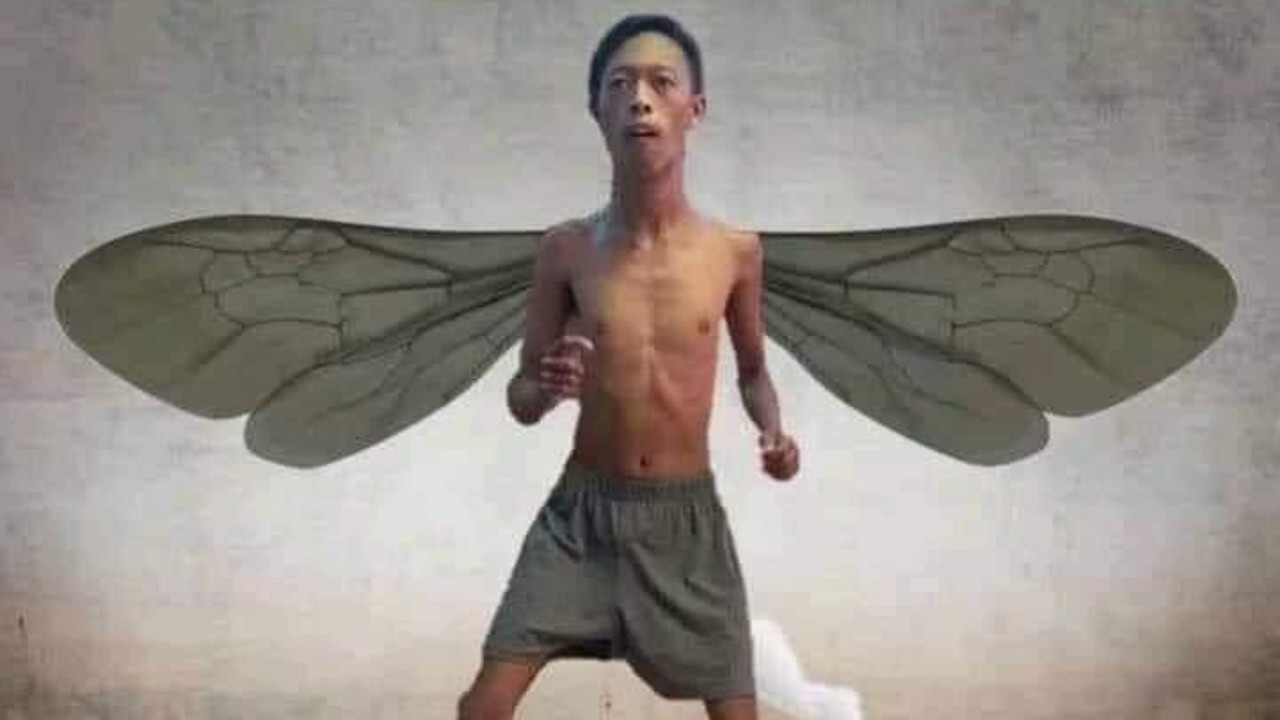 You laugh you turn into a butterfly