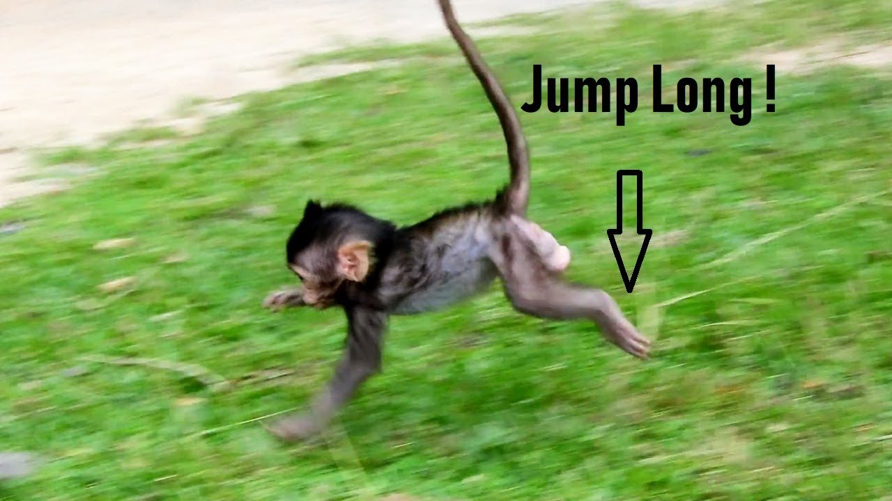 foundry Lizza starting jumping Long/ She Doesn't Scare Of Losing Mummy Coz Can Run fAst