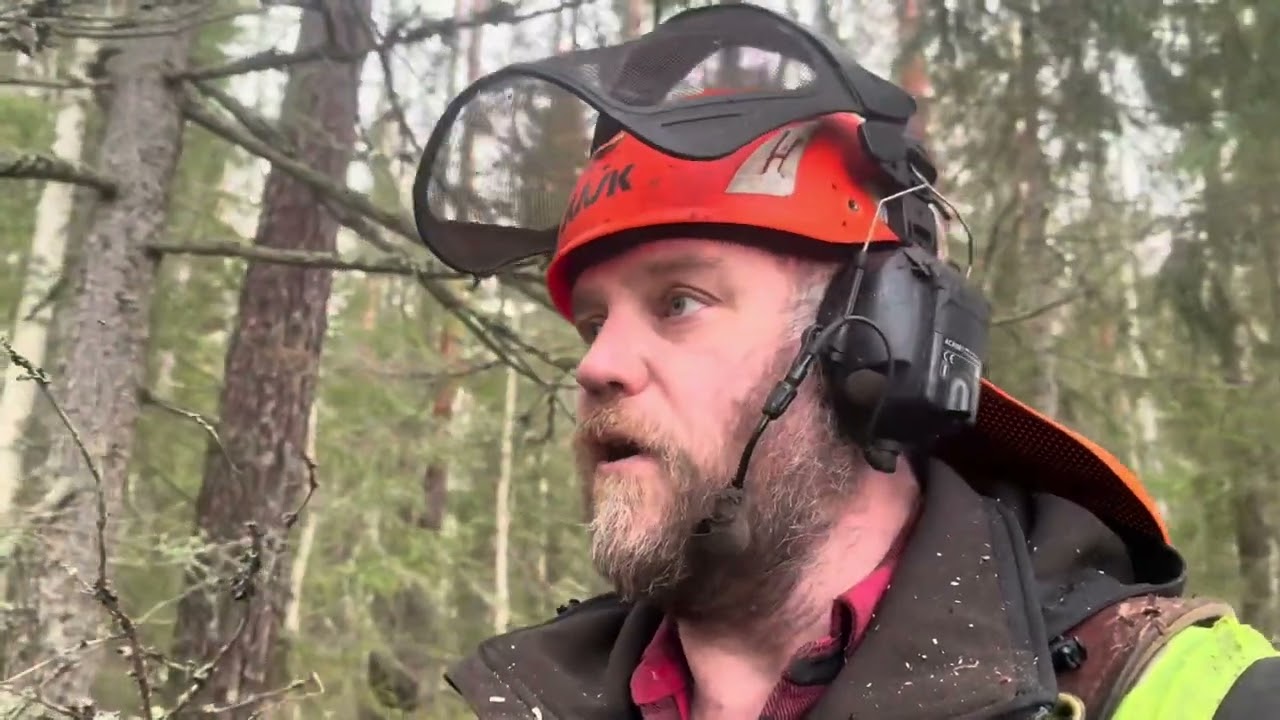 Hård vecka men klar med jobbet. Mycket träd i backen och många kilometer avklarade