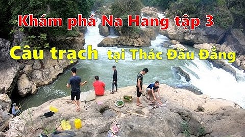 Câu cá chạch thác Đầu Đẳng | Vườn quốc gia Ba Bể | Super Chef VN