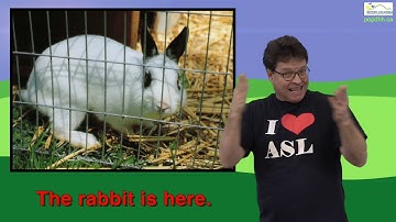 Pets in American Sign Language (ASL)