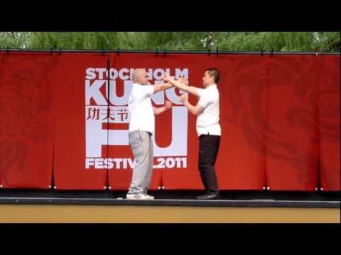 Wing Chun Academy Association - Stockholm Kung Fu ...