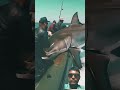 “Fishing Challenge 2025 – এক ভয়ানক ধরা!” #fishing #ocean #shark #greatwhiteshark #travel