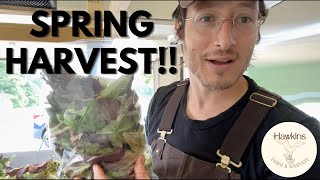 Harvest, Wash + Pack w/ Us On The Homestead!