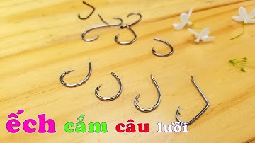 3 mẫu Lưỡi Câu Ếch chuyên dùng cắm câu ếch, giao hàng toàn quốc