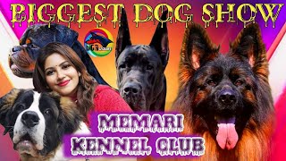 MEMARI KENNEL CLUB DOG SHOW 2023 | GERMAN SHEPHERD SPECIALITY FINAL RESULTS | DOGGYZLIFE