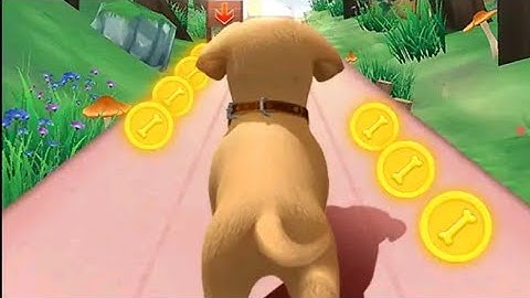 Dog Run:My Talking Pet Runner | Dog Run Puppy Racing Game | Top Trending Game | @Gofast Gameplay