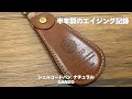 半年目】これだからナチュラルは面白い！ガンゾのシェルコードバン2