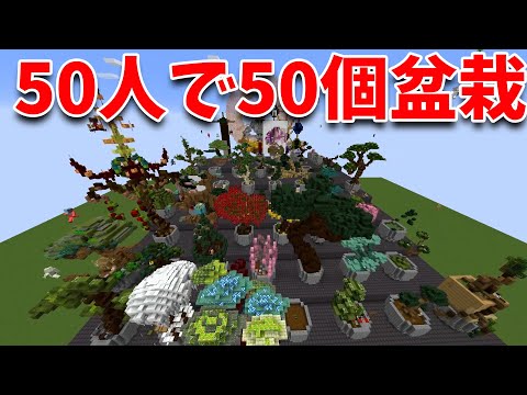 50人で1人1個盆栽つくってみた