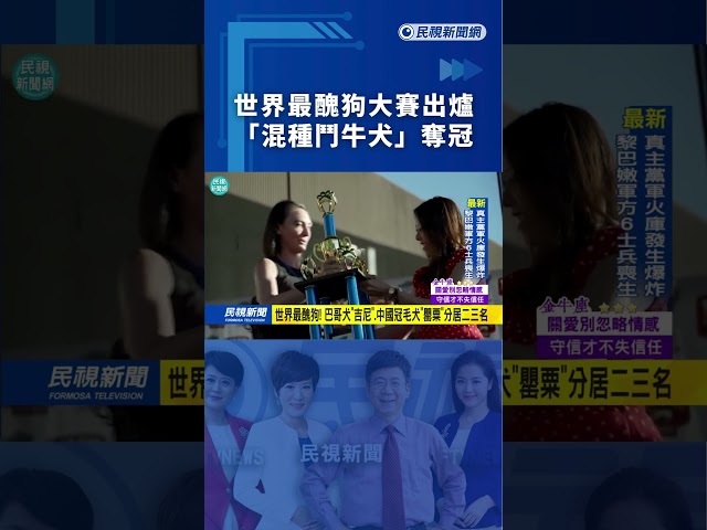世界最醜狗大賽出爐　「混種鬥牛犬」奪冠｜民視新聞｜
