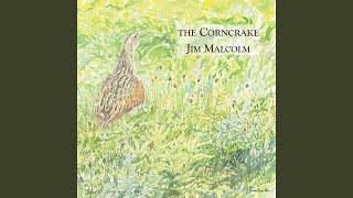 The Echo Mocks the Corncrake