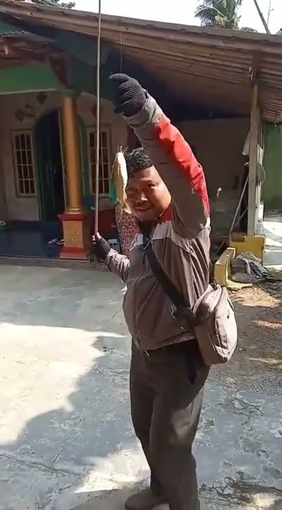 MANCING MANIA MANTAAAAAAAP #shorts #viral #story #tiktok #fyp #mancing