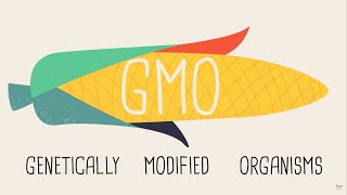 Celebrity Artificial Genetic Manipulation: The Evolution of Genetically Modified Organisms Selective Breeding Wealth