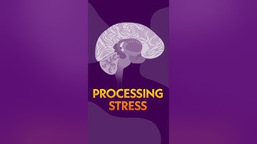 How The Brain Processes Stress and Trauma