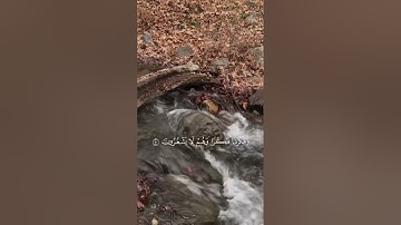 اكتب شيء تؤجر عليه ❤️. #قرآن #تلاوة_خاشعة #اسلام_صبحي #اكسبلور