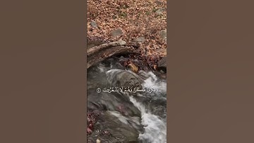 اكتب شيء تؤجر عليه ❤️. #قرآن #تلاوة_خاشعة #اسلام_صبحي #اكسبلور