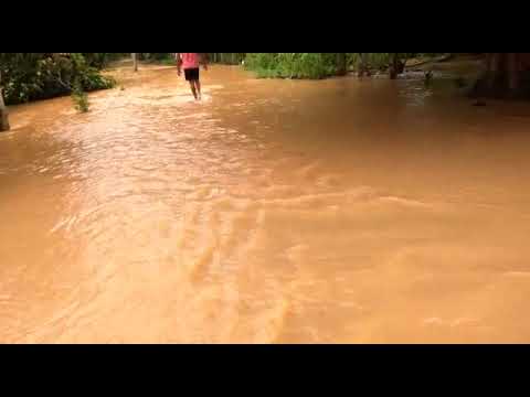 Propriedade Rural na Região de Povoação em Linhares  03 07  2020