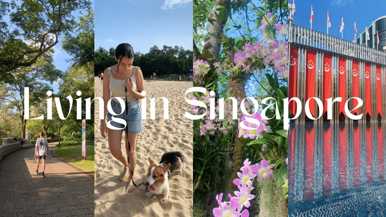 My last week in Singapore eating with friends and Palawan Beach