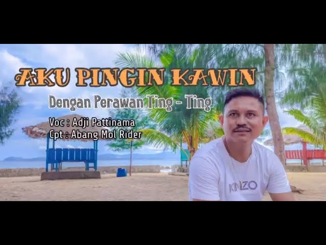 Aku Pingin Kawin (Official Music Video) class=