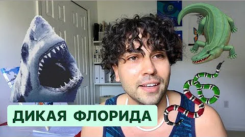 Осторожно! ДИКИЕ ЖИВОТНЫЕ Флориды Кого бояться во Флориде опасная живность Дикая Флорида