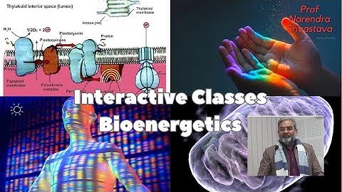 BIOENERGETICS II CSIR-NET (LIFE SCIENCES) II THERMODYNAMICS ll GIBBS FREE ENERGY