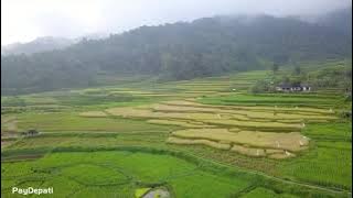 Pemandangan Alam, Sawah Embun Pagi Lawang
