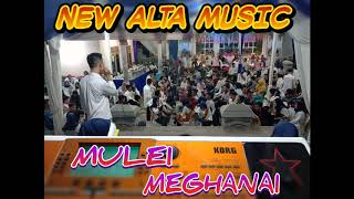 NEW ALTA MUSIC MULEI MEGHANAI LIVE TANJUNG RATU TERBARU 2019 ARR AJO DENI