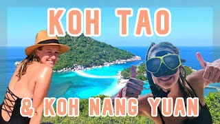 KOH TAO &amp; KOH NANG YUAN 🌴 | THAILAND 🇹🇭  | Snorkeling in Paradise🤿