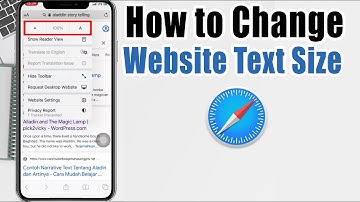 How to Change Website Text Size in Safari Browser on iPhone