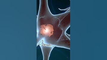 Déjà vu: Glitch in the Matrix or Brain’s Mystery?