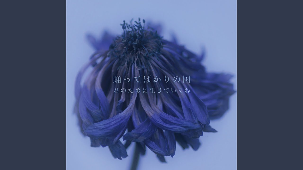 五月の花 /踊ってばかりの国 YouTube
