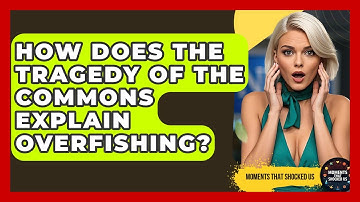 How Does The Tragedy Of The Commons Explain Overfishing? - Moments That Shocked Us
