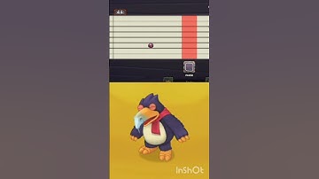 PANGO ON FIRE OASIS COMPOSER TUTORIAL