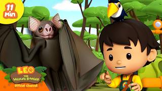 Leo Rescues an Injured Vampire Bat! 🦇 | Leo the Wildlife Ranger | Learning Animal Cartoons