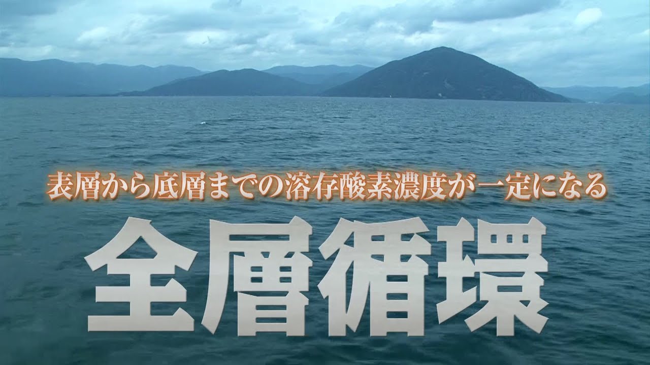 気候変動でどうなる 滋賀での私たちの暮らし 7 琵琶湖の水環境 Youtube